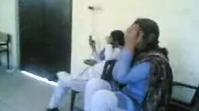 pashto queen merry collage